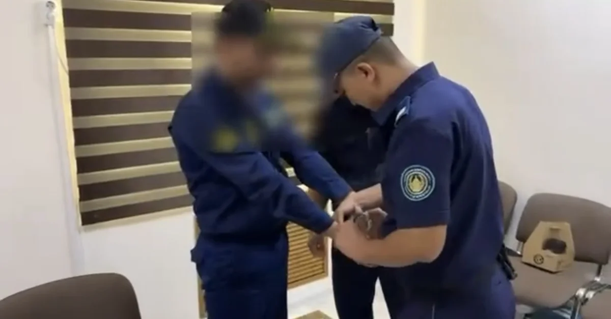 Видеодан скрин