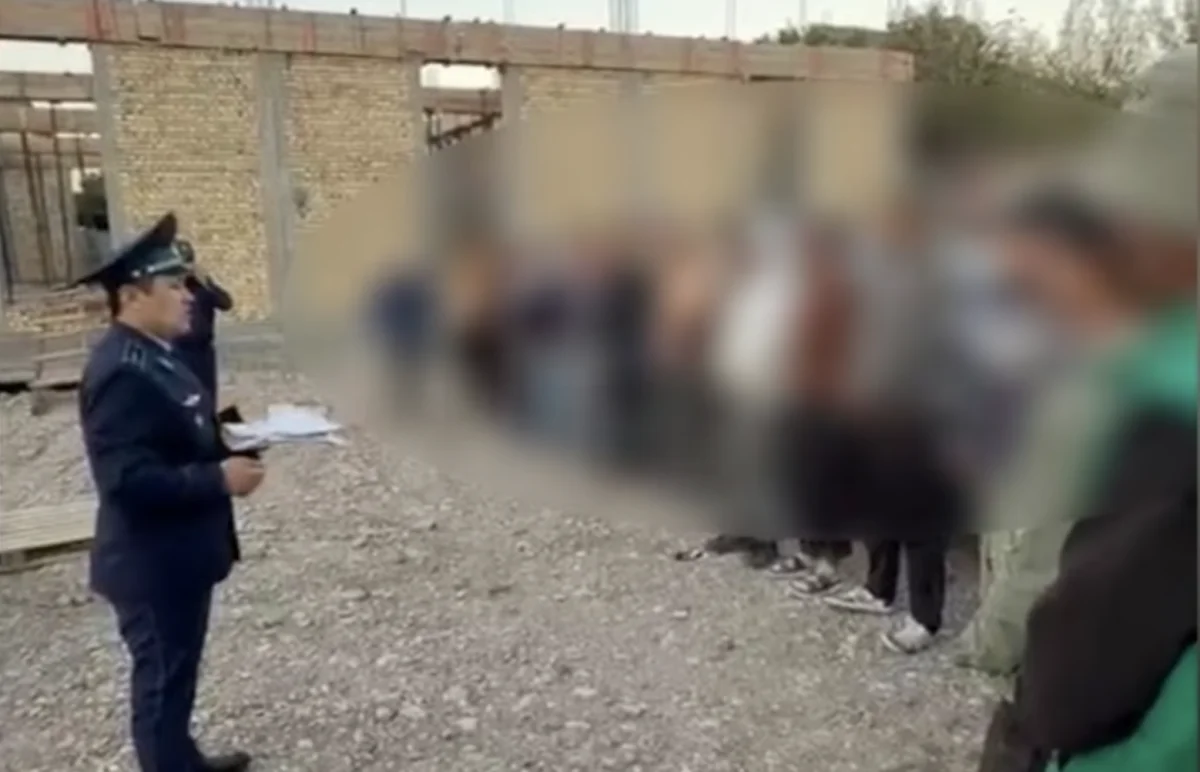 кадр из видео