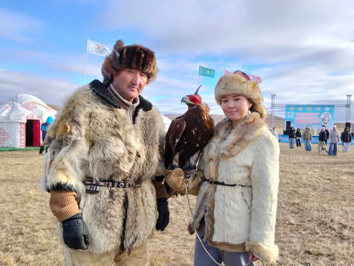 дереккөз