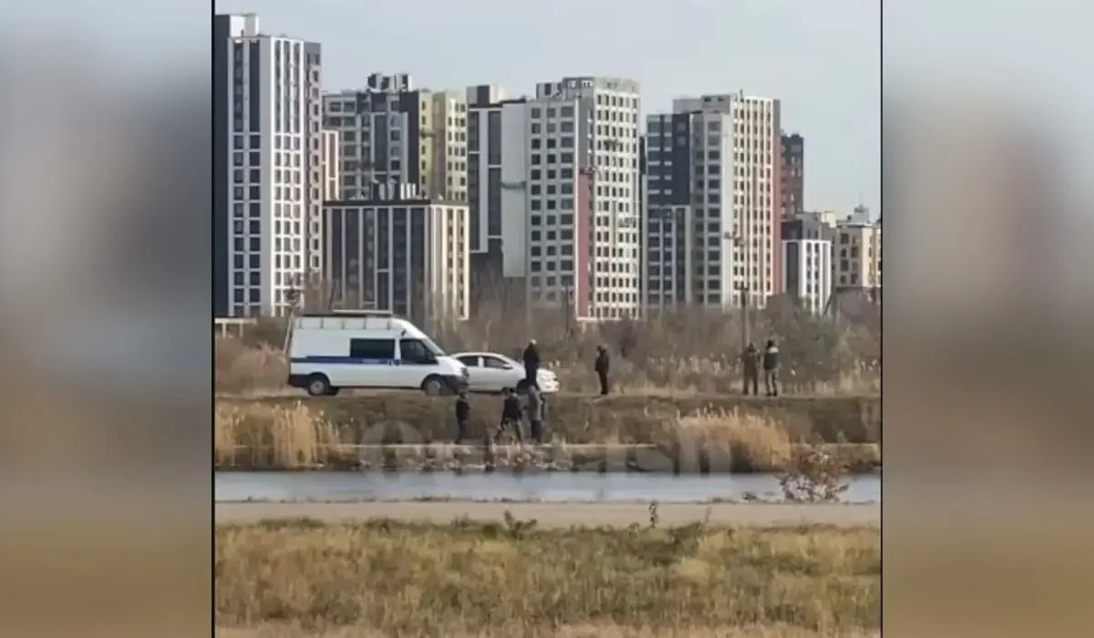 видеодан скрин