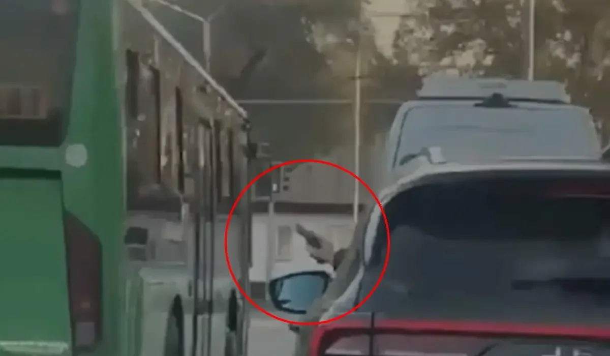 видеодан скрин