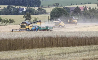 Елімізде биыл қанша астық жиналды?