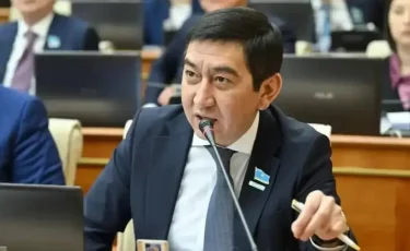 Бірде-бір заңның халыққа пайдасы тигенін көрген жоқпын – Ринат Зайытов