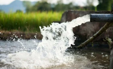 Алматы облысында мыңнан аса фермерге суармалы су үшін қымбат тариф қойылған