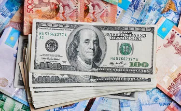 Фиктивные сельхозпредприятия Алмасбека Садырбая получили от государства 1,2 млрд тенге