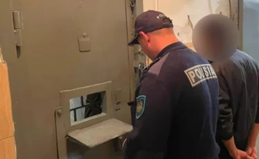 Косяк лошадей угнали в Алматинской области