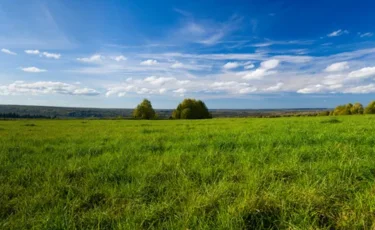 620 мың гектар жер мемлекетке қайтарылды