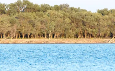 "11 миллиард текше метр". Қазақстан Сырдарияны сумен қамтуға келісімге келді