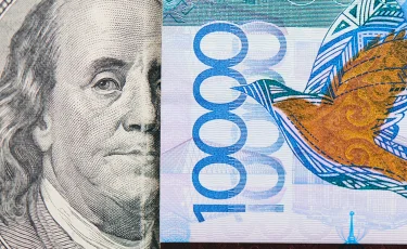 Автомобили и земельный участок отдали кызылординцы организатору финпирамиды