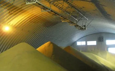 Президент тапсырмасы: шаруалардан астық сатып алынады