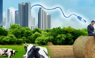 Үкімет: Субсидия қысқартылып, несие 5 пайызбен берілмек