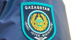 Изнасилование брата и сестры расследуют в Павлодарской области