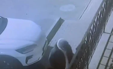 Ночные грабители выслеживали одиноких прохожих в Алматы (ВИДЕО)