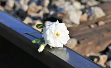 Алматыда оқушы суицид жасады