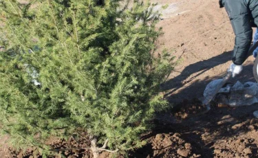 Қазақстандағы экомәдени жұмысқа 90 мың ерікті тартылды