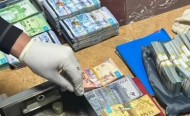 Шымкентте алкоголь өндірген ерлі-зайыптылар 309 млн теңге заңсыз табыс тапқан