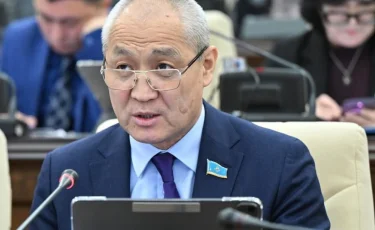 Елде өзгеріс болу үшін билікке мықты кадрлар келуі қажет - Жаңбыршин