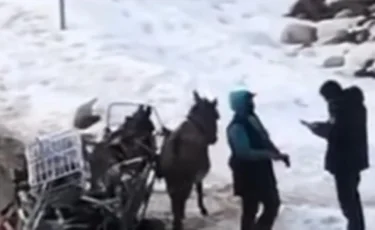 Полиция қызметкері есек арбаға айыпұл жазды (Видео)