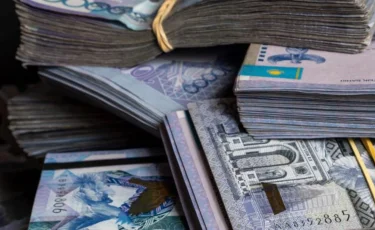 Заңсыз табыс: Семейде жосықсыз кәсіпкерлер мемлекетке 270 млн теңге залал келтірді