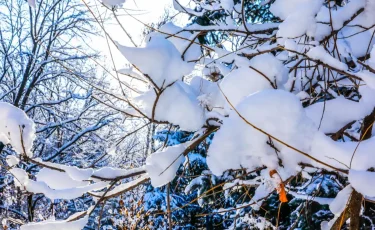Бүгін елімізде ауа райы қандай болады?