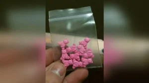 Мектептерде «құлпынай квик» кәмпиттері таратылып жатқаны рас па? ІІМ мәлімдемесі