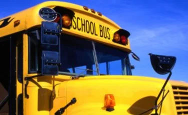 Девочку насмерть сбил водитель школьного автобуса в Акмолинской области