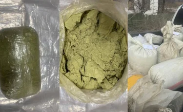 Жамбыл облысында есірткі арнасы жойылды