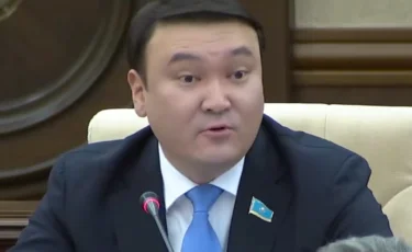 Фонограммамен ән айтуға тыйым салу қажет – депутат