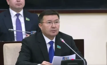 Мыңдаған тұрғын ауыз суды көшедегі құдықтан ішуге мәжбүр – сенатор