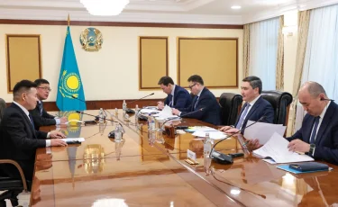 Қытай компаниясы елімізде 3 млн тонна болат өндіретін комбинат салады