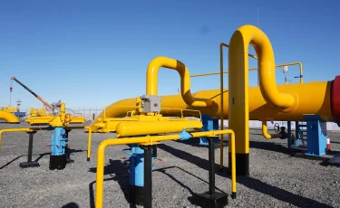 Қызылорда облысында 289 млн теңге жымқырған шенеунік сотталды