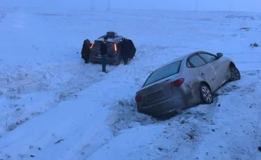 Қостанай облысында шетелдіктер жол апатына түсті