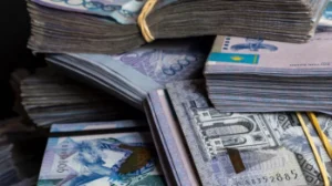 Батыс Қазақстанда субсидияға бөлінген қаржы басқа мақсаттарға жұмсалған