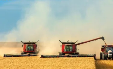 Биыл 8 млн гектар егіс алқабы жеңілдікпен қаржыландырылады