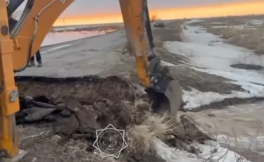 Талые воды разрушили дорогу в области Жетысу