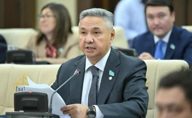 Министрлік шетелдік тасымалдаушылардың мүддесін қорғап отыр – Азат Перуашев