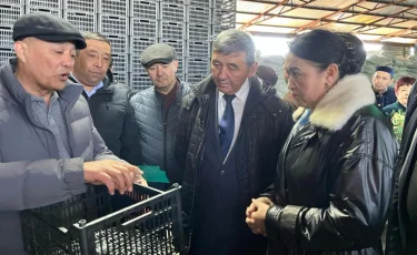 Алматы облысында пластик жәшік шығаратын цех ашылды