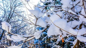 Боран, көктайғақ: Қазақстанның бірнеше өңірінде ескерту жарияланды
