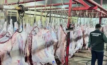 Бірнеше қалада ет өңдейтін заңсыз цехтар анықталды