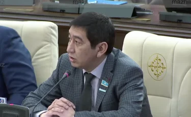 Ринат Зайытов: Шалғай ауылдағы баланың тісі ауырса, оған Астанадағы министрдің жүрегі ауыруы керек