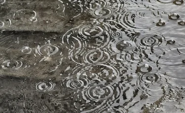 Сильные дожди прогнозируют в Алматы и предгорных районах