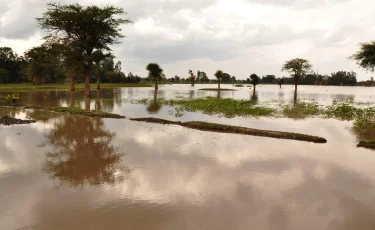 Река в Бесагаше вышла из берегов: В подтоплении домов обвинили сельчан