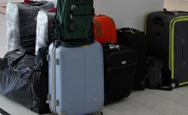 Сколько этнических казахов вернулись на родину