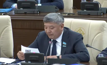 «Үкімет түрлі ұйымдардың қас-қабағына қарауды қою керек»: Депутат ЛГБТ насихатына заңмен тосқауыл қоюды талап етті