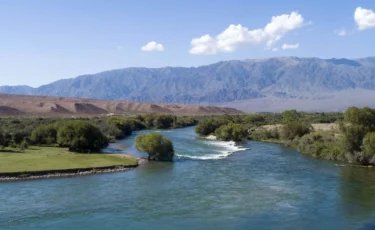 Шу өзенін өз қорасына бұрып алған: Созақтағы су тапшылығына кімнің фазендасы себеп?