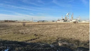 Ақмола облысында 10 мың гектар жер мемлекетке қайтарылды