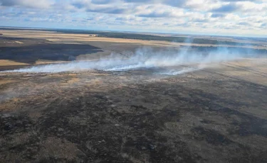 Лесной пожар в области Абай охватил территорию в 1200 гектаров