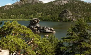 Табиғат та табыс көзі: Өңірлік әкімдіктерге жаңа өкілеттік беріледі