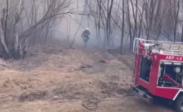 Павлодар облысында саяжай үйлері өртеніп жатыр