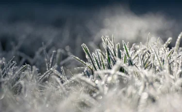 Елімізде күн күрт суытып, үсік жүреді